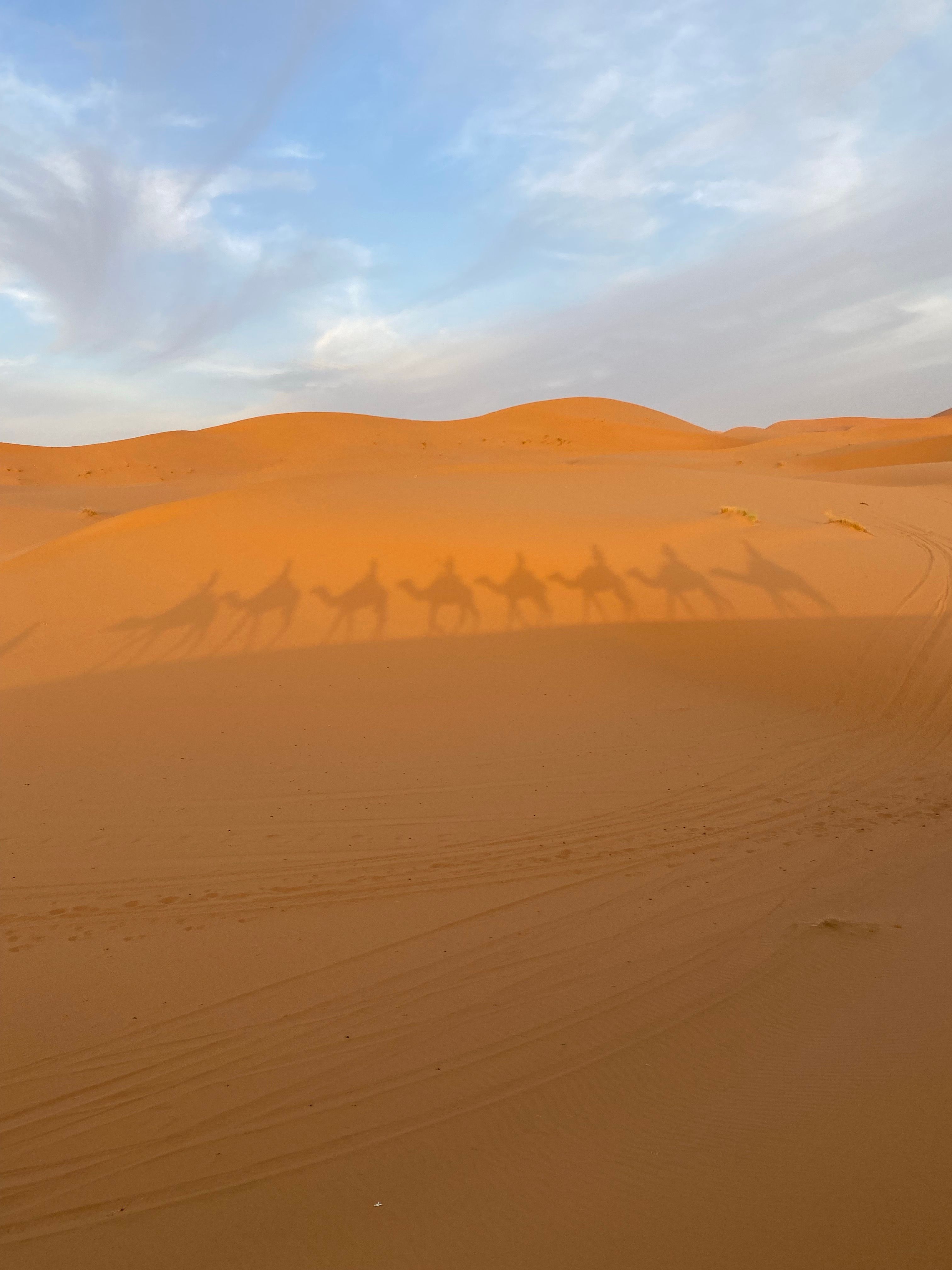 Shadows of a camel caravan cast on golden dunes in Merzouga, Morocco.
