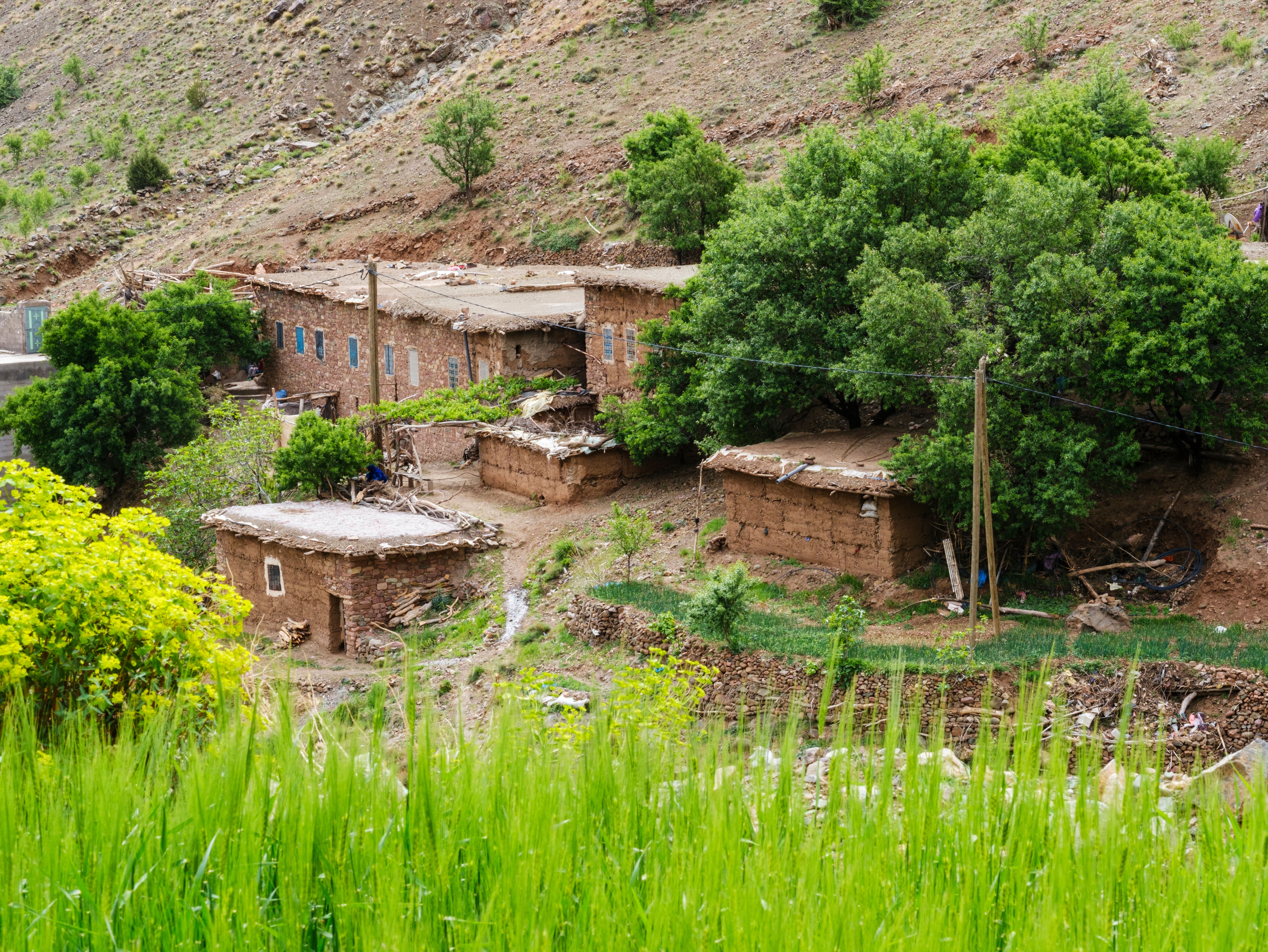 Ourika Valley day trip
